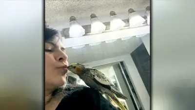 South Florida family uses social media to find their lost pet bird miles away in the Everglades