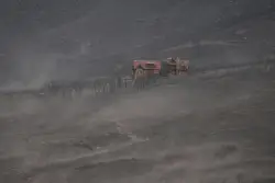 PHOTOS: Inside the burn zone of Turner Gulch fire, Colorado’s largest active wildfire