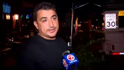 Miami Beach restaurant owner speaks out after Tesla crashes with tree outside; city adds speed check detectors