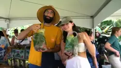 Prepare to eat, drink and bathe in mango when the Mango Festival returns to Fairchild Tropical Botanic Garden