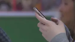 BSO warns residents of scammers posing as bank employees in viral phone scam